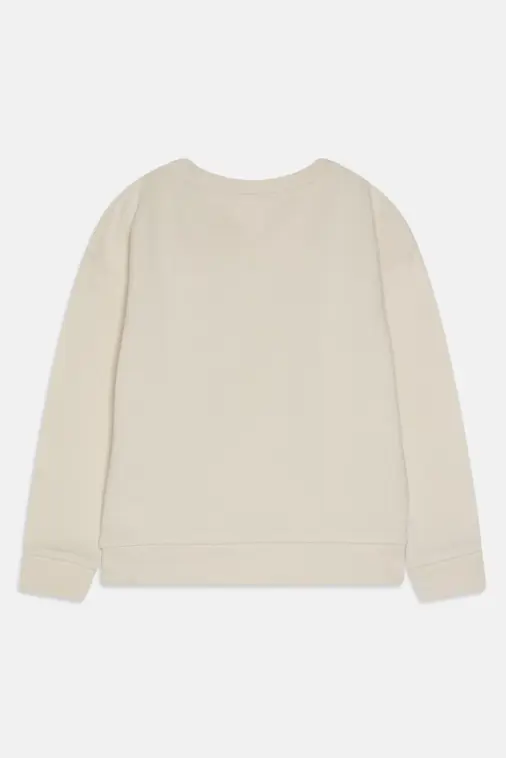 Crew Toddler Sweatshirt - Image 4
